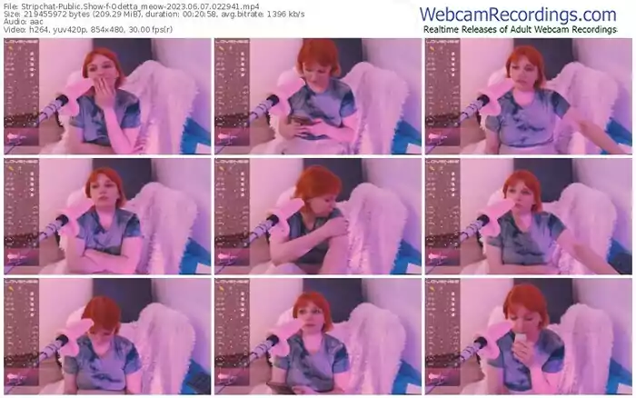 stripchat-odetta_meow-06-07-2023-02-29-41