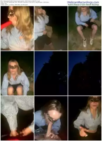 stripchat-gros-seins--06-11-2023-20-32-31