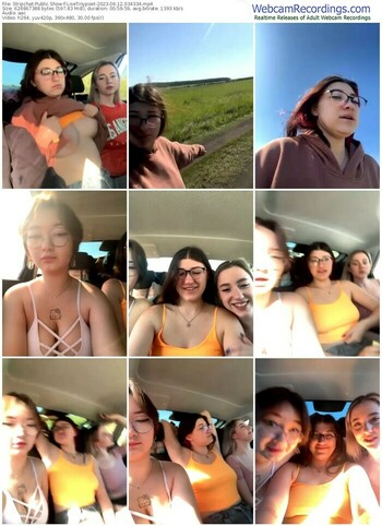 stripchat-lisetinypoet-06-12-2023-03-43-34