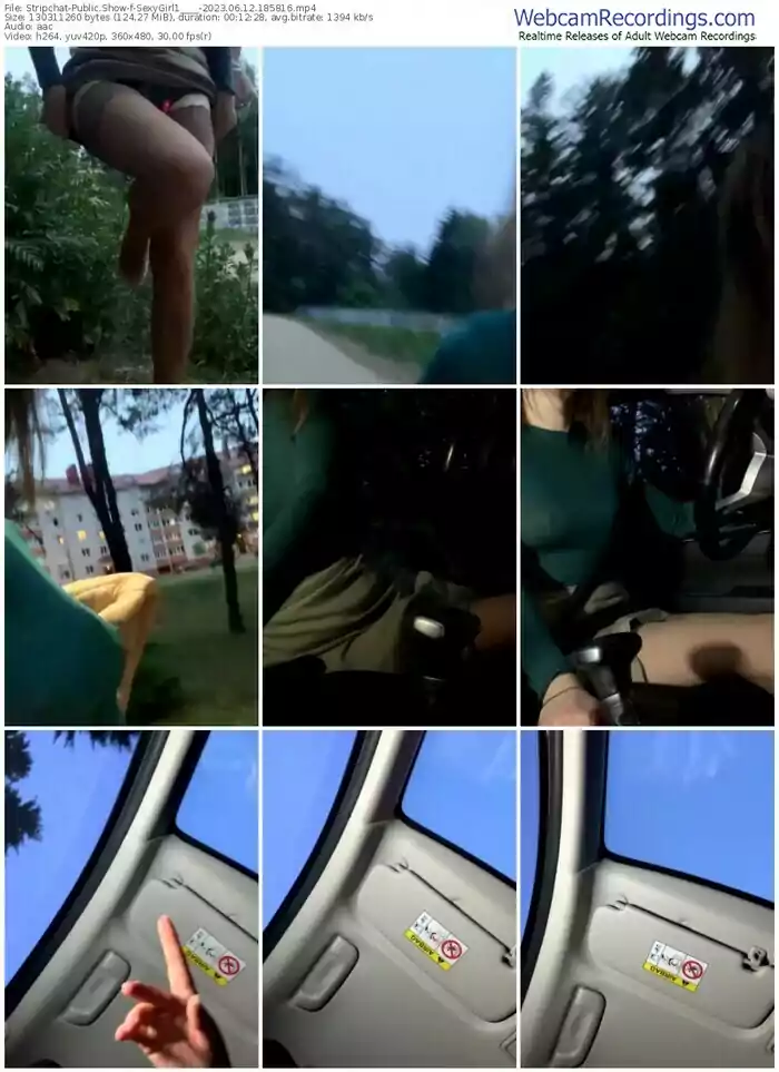 stripchat-sexygirl1____-06-12-2023-18-58-16