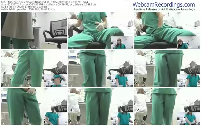 stripchat-naughtylab_office-06-15-2023-03-07-01