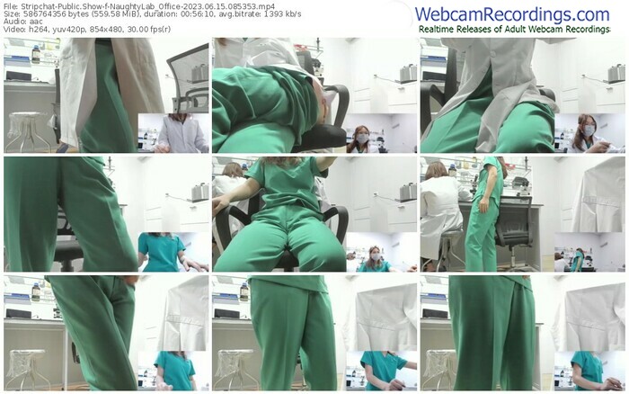 stripchat-naughtylab_office-06-15-2023-08-53-53