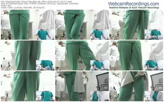 stripchat-naughtylab_office-06-15-2023-12-37-17