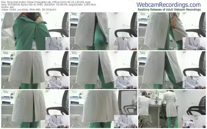 stripchat-naughtylab_office-06-15-2023-14-53-51