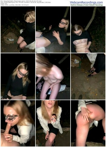 stripchat-gros-seins--06-20-2023-21-11-45