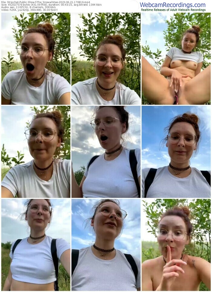 stripchat-the_snowwhitee-06-21-2023-17-08-19