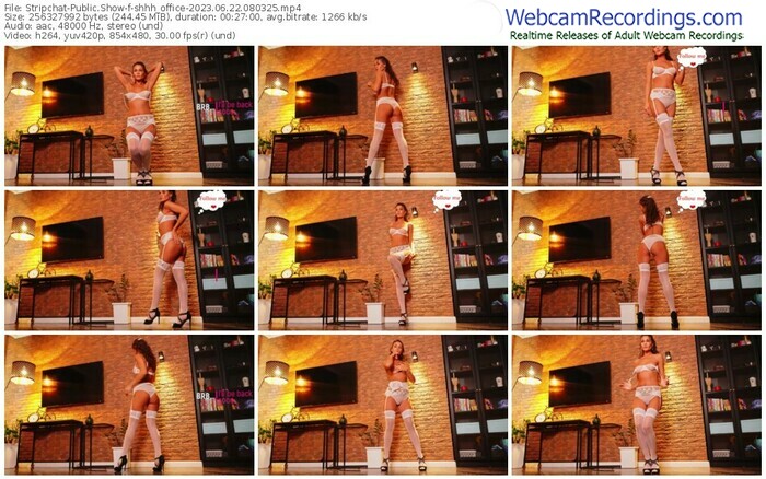 stripchat-shhh_office-06-22-2023-08-03-25
