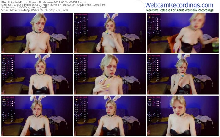 stripchat-elitemouse-06-24-2023-00-35-19