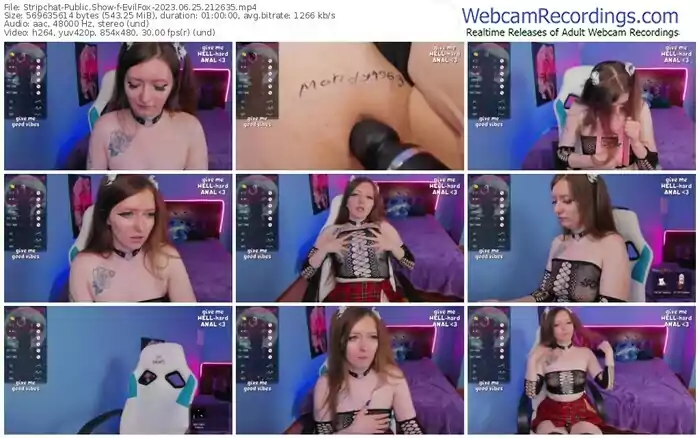 stripchat-evilfox-06-25-2023-21-26-35