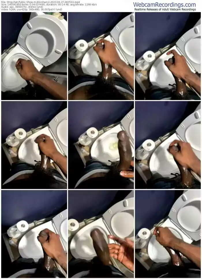 stripchat-bbcsham2-06-27-2023-06-05-33