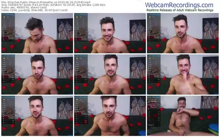 stripchat-promethe_us-06-29-2023-21-26-45