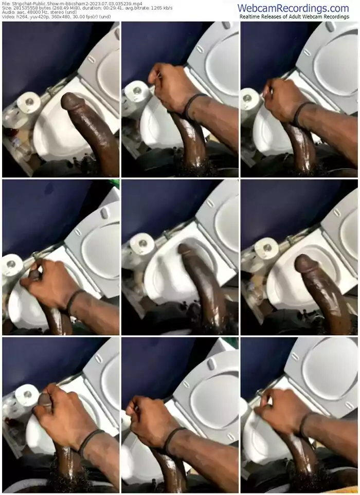 stripchat-bbcsham2-07-03-2023-03-52-39