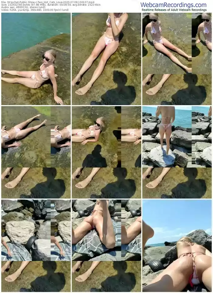 stripchat-two_hot_cats_love-07-08-2023-10-01-07
