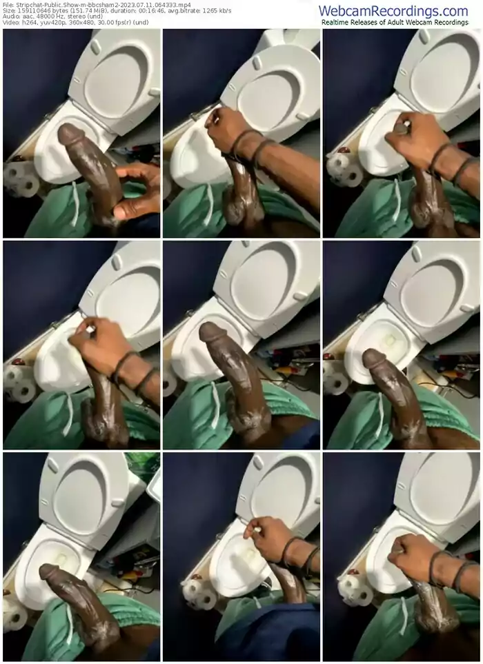 stripchat-bbcsham2-07-11-2023-06-43-33