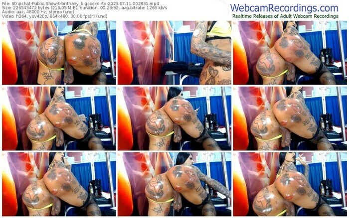 stripchat-brithany_bigcockdirty-07-11-2023-00-28-31
