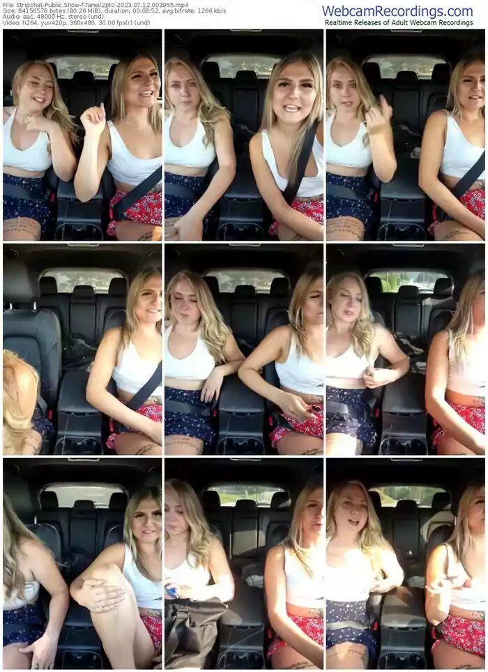 stripchat-taneil2pt0-07-12-2023-00-39-55