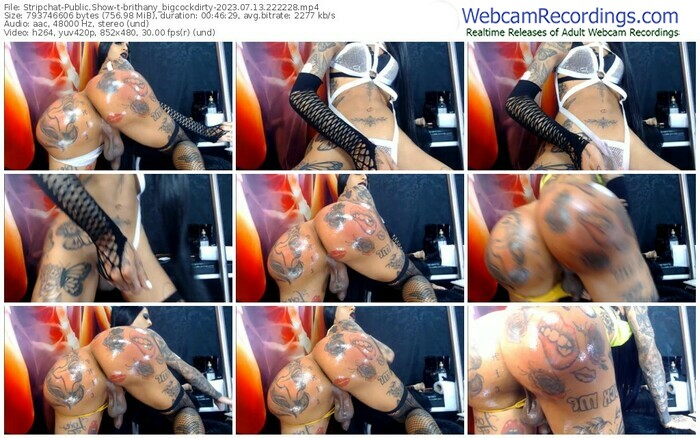stripchat-brithany_bigcockdirty-07-13-2023-22-22-28