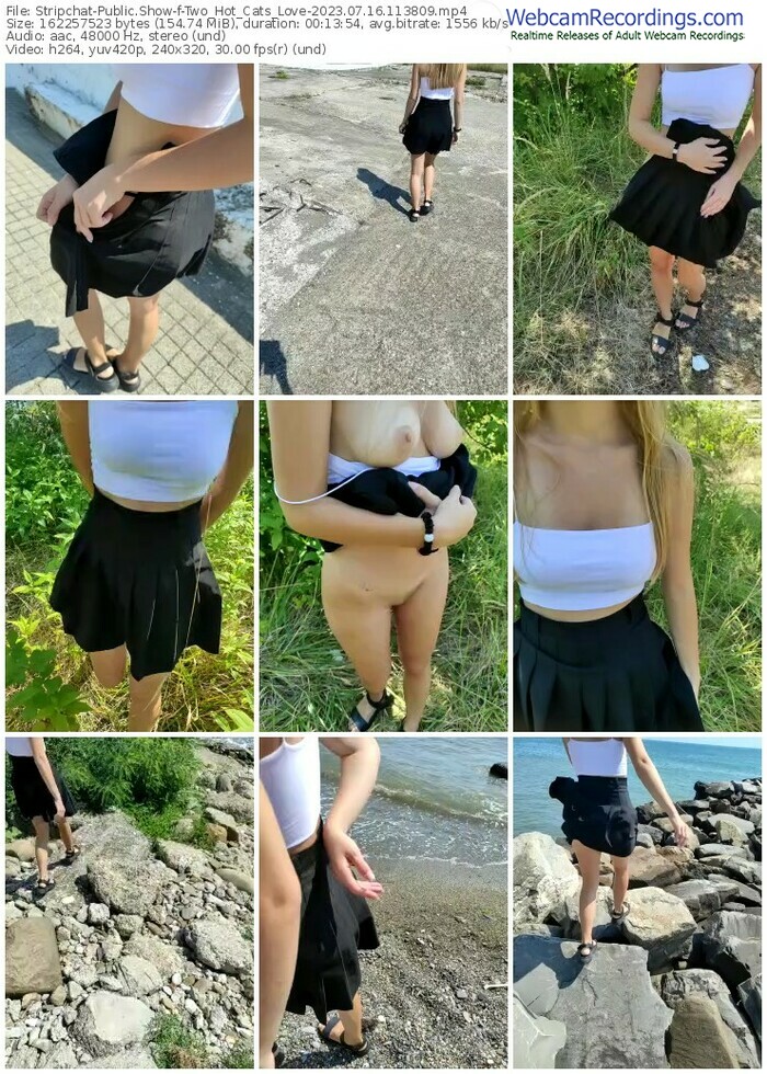 stripchat-two_hot_cats_love-07-16-2023-11-38-09