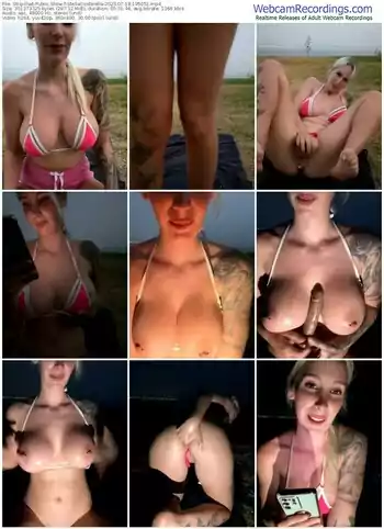 stripchat-stellacinderella-07-18-2023-19-50-51