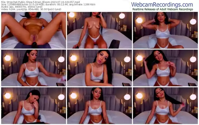 stripchat-anais_bloom-07-19-2023-02-10-57