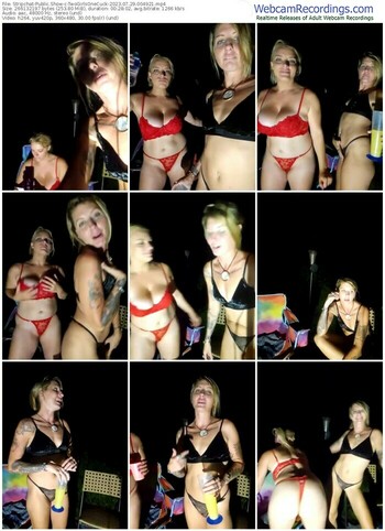 stripchat-twogirlsonecuck-07-29-2023-00-49-21