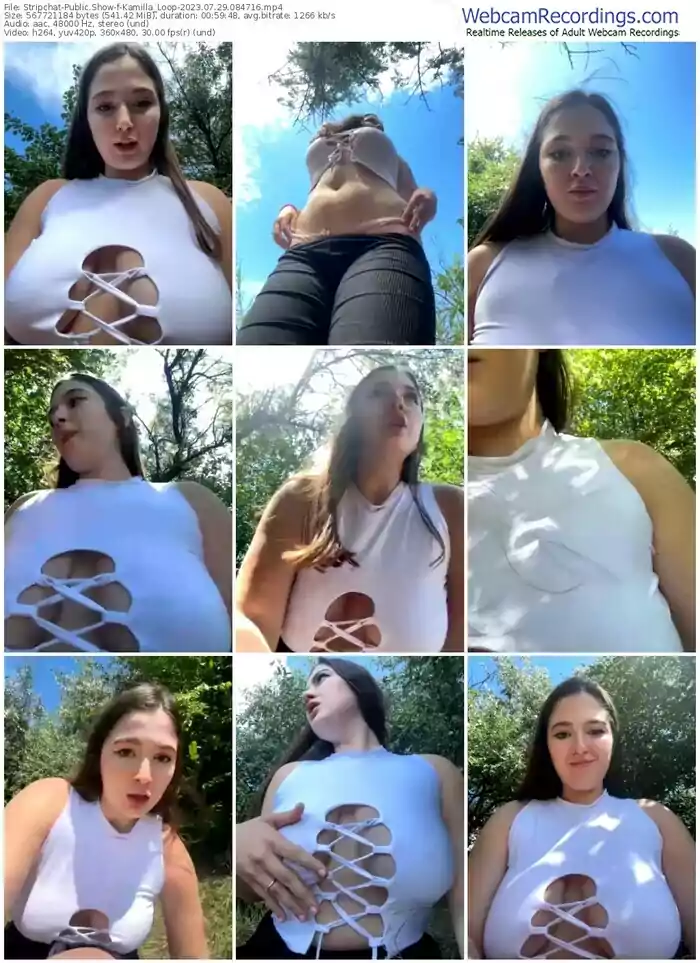 stripchat-kamilla_loop-07-29-2023-08-47-16