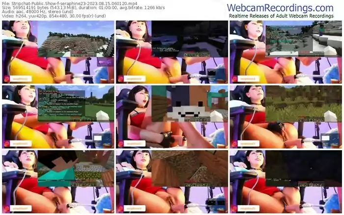 stripchat-seraphine23-08-15-2023-06-01-20