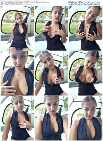 stripchat-princess_afina-08-17-2023-00-55-13