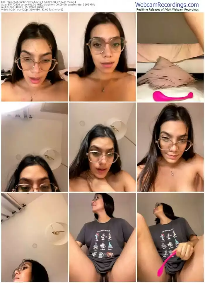 stripchat-avis_12-08-17-2023-04-11-55