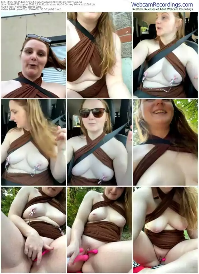 stripchat-gingersnap33-08-28-2023-00-07-54