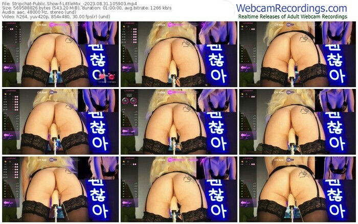 stripchat-littlemix_-08-31-2023-10-59-03