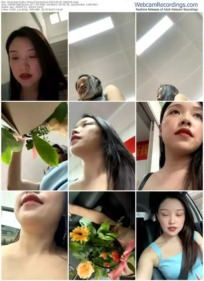 stripchat-ninesister-08-31-2023-08-41-56