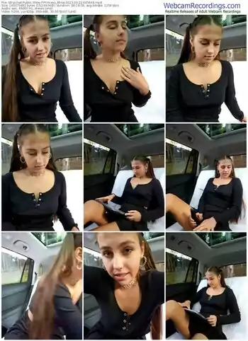 stripchat-princess_afina-09-22-2023-00-56-48