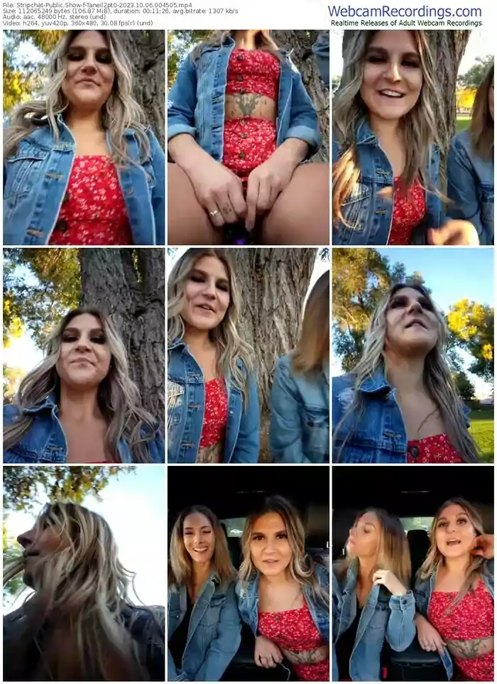 stripchat-taneil2pt0-10-06-2023-00-45-05