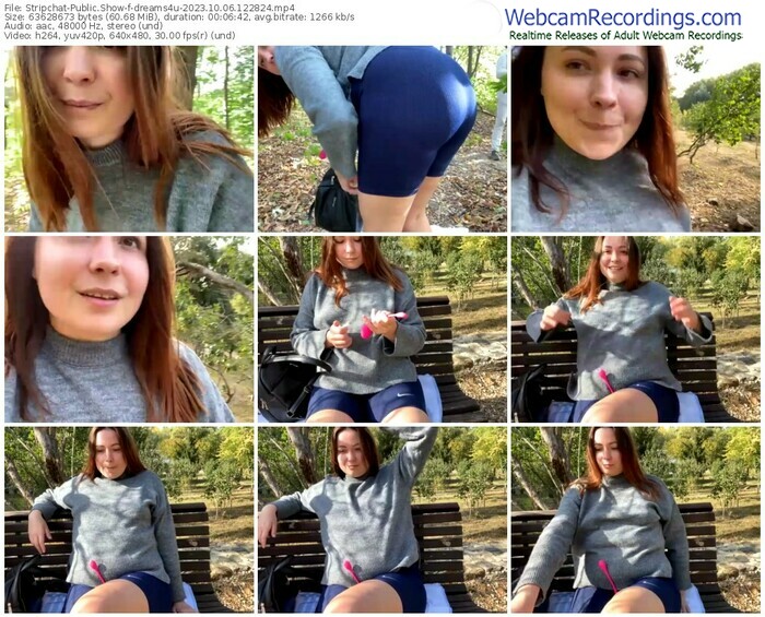 stripchat-dreams4u-10-06-2023-12-28-24