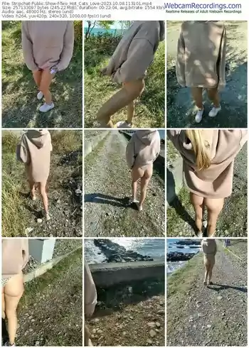 stripchat-two_hot_cats_love-10-08-2023-11-31-01