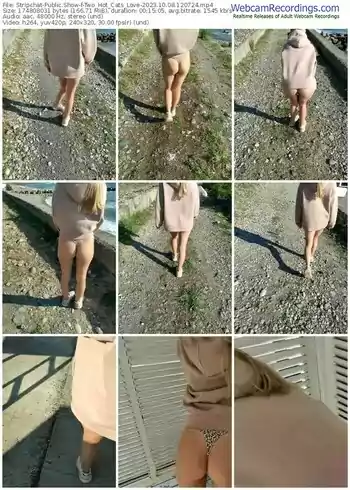 stripchat-two_hot_cats_love-10-08-2023-12-07-24