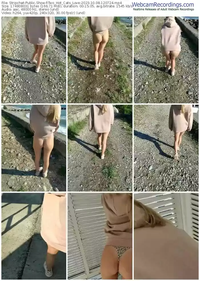 stripchat-two_hot_cats_love-10-08-2023-12-07-24