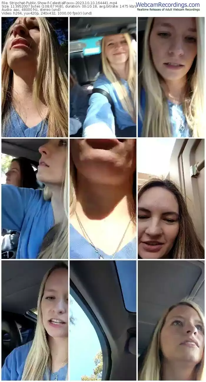 stripchat-celestialfoxxx-10-10-2023-16-44-41