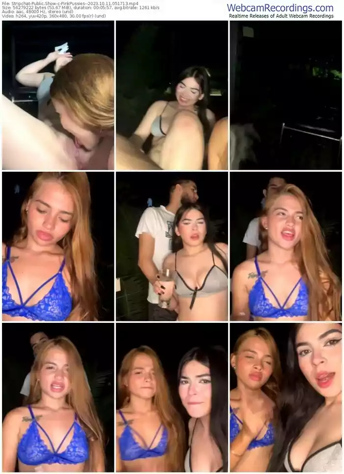 stripchat-pinkpussies--10-11-2023-05-17-13