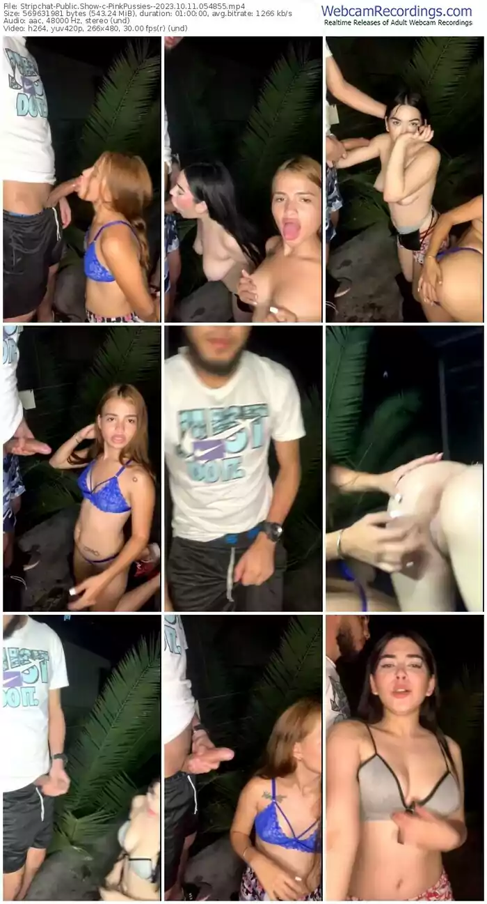 stripchat-pinkpussies--10-11-2023-05-48-55