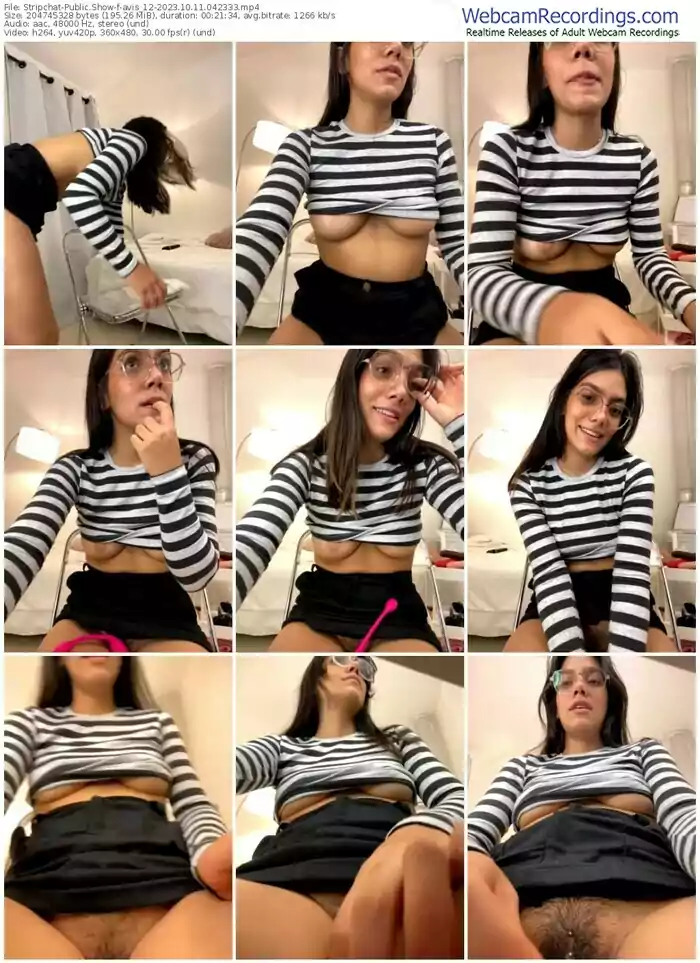 stripchat-avis_12-10-11-2023-04-23-33