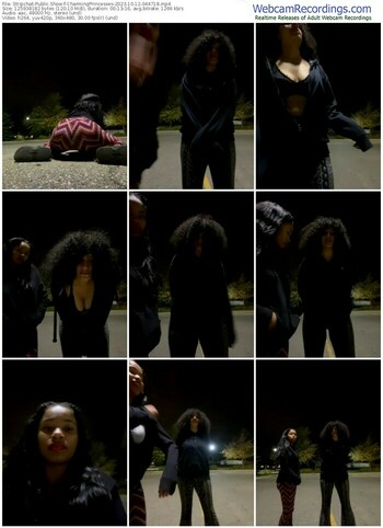 stripchat-charmingprincesses-10-12-2023-04-47-18