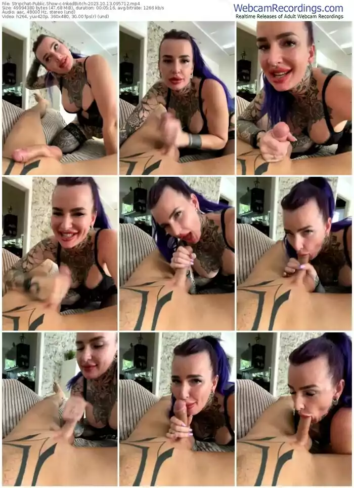 stripchat-inkedbiitch-10-13-2023-09-57-12