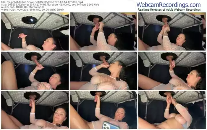 stripchat-mrmrswylde-10-14-2023-12-50-26