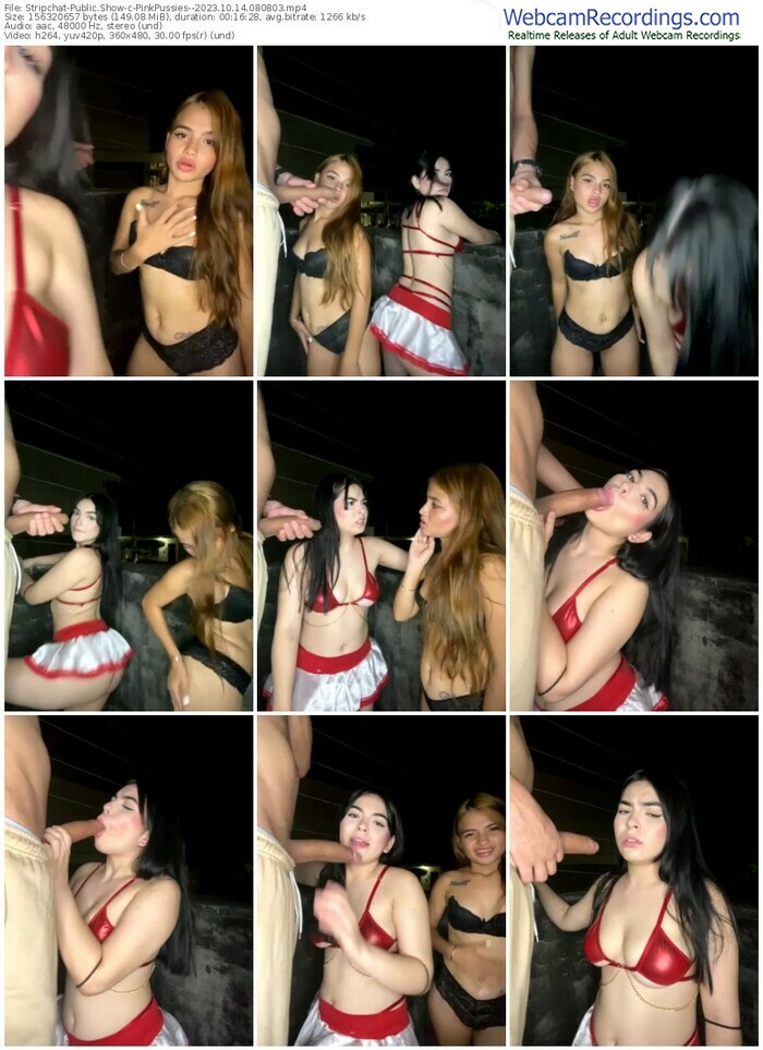stripchat-pinkpussies--10-14-2023-08-08-03