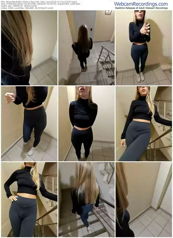 stripchat-two_hot_cats_love-10-14-2023-12-42-47