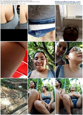 stripchat-sweetsin2-10-17-2023-20-55-33