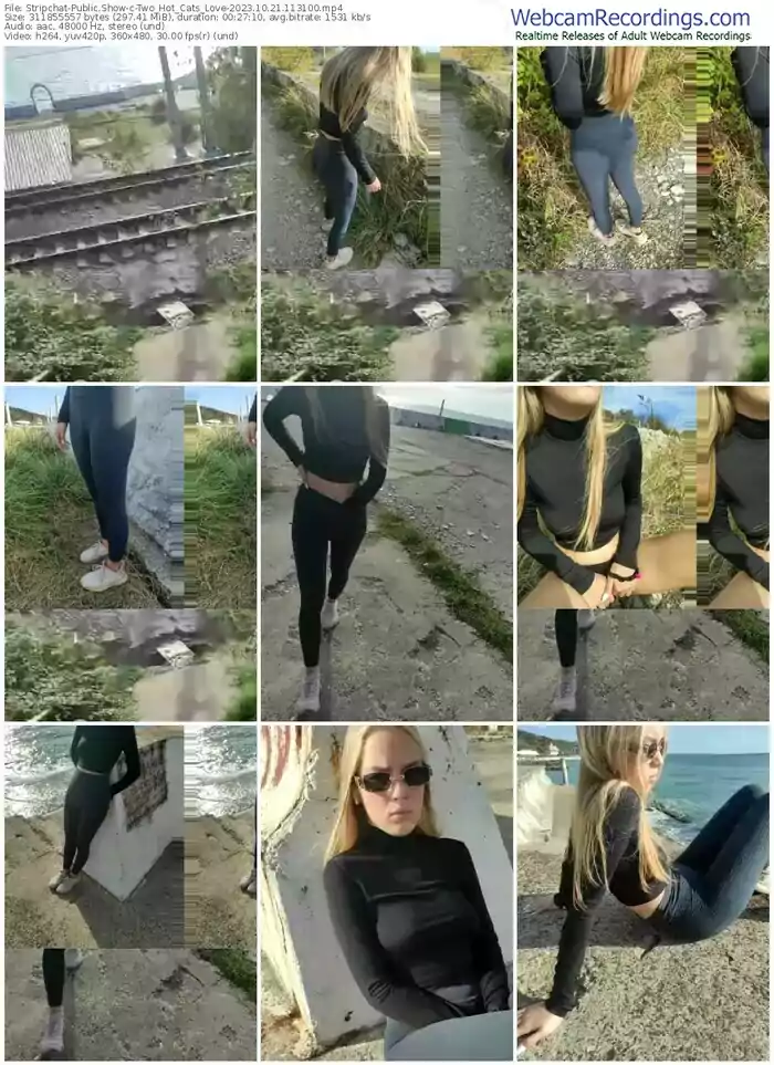 stripchat-two_hot_cats_love-10-21-2023-11-31-00