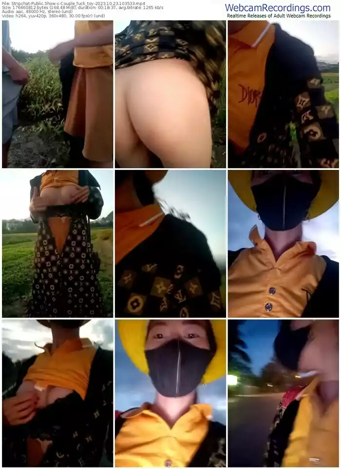 stripchat-couple_fuck_toy-10-23-2023-10-35-33